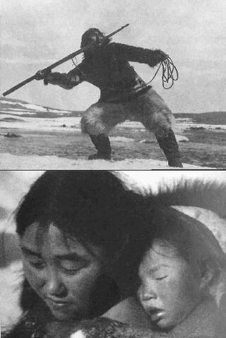 Fichier:Nanouk.jpg