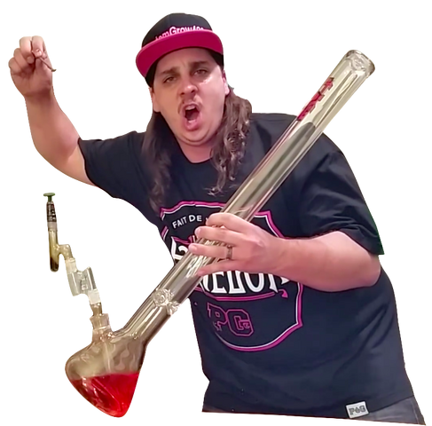 File:CustomGrow420 lung.png