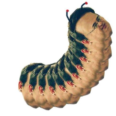 File:Frankipiller.jpg