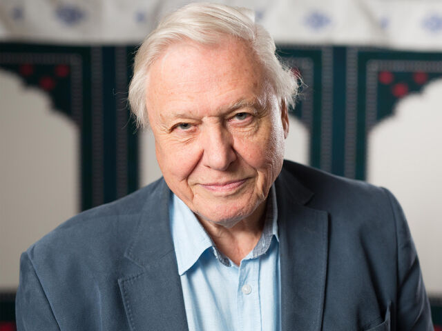 File:DavidAteenbourgohLamo.jpeg