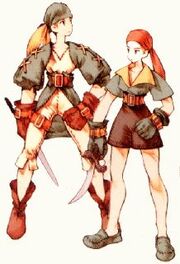 FFT Thief