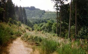Botrange bos1