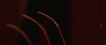 Thumbnail for version as of 11:13, March 22, 2012