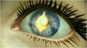 Yeux d'Etro
