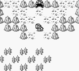 FFLII Lynn's Village