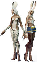 Viera race.jpg