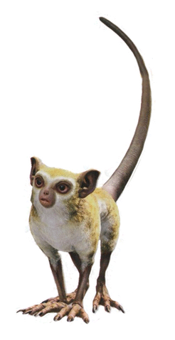 File:Opo-Opo Enemy FFXIV.png