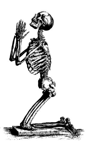 File:Mlf-skeleton.jpg