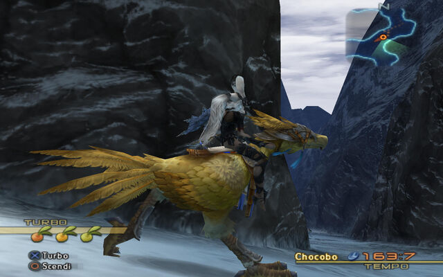 File:Paramina rift chocobo.jpg