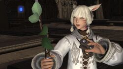 Y'shtola fighting