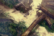 Gongaga wilderness.png