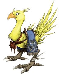 Boco.jpg