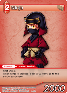 2-011c - Ninja