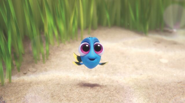 File:Baby Dory.jpeg