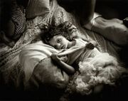 SallyMann bed