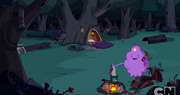 Camp.png