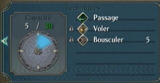 TechniqueCapacité.jpg