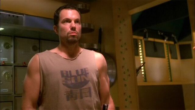 File:BushwhackedbluesunARMS.jpg