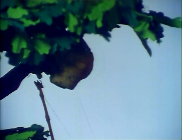 File:Norman'sPitfall19.png