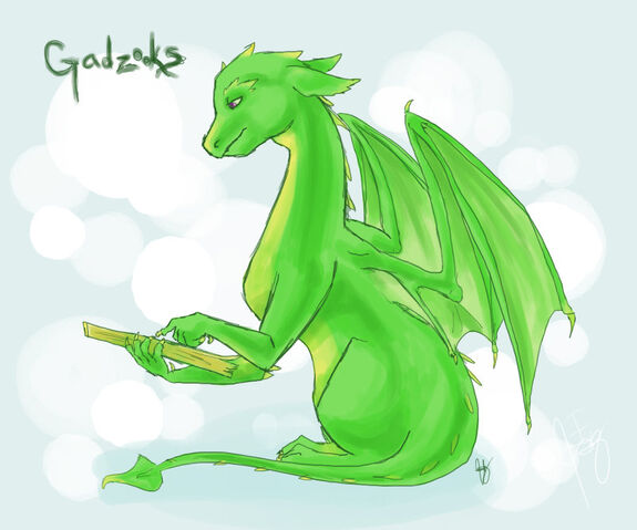 File:Gadzooks by hunterspire.jpg