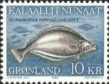 19471 reinhardtius-hippoglossoides
