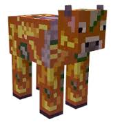 Golden Apple Cow