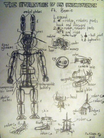 Файл:The Structue of an Animatronic ft. Bonnie.jpg