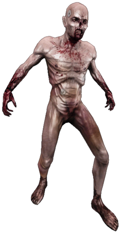Файл:Zm clot.png