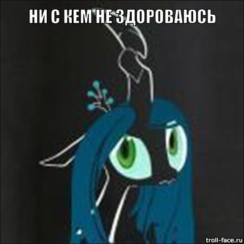 Файл:34f104d3c5d3fcabf07c3ac9d6546e3d.jpg