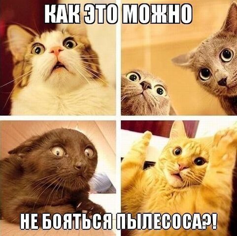 Файл:ПЫЛЕСОС!.jpg