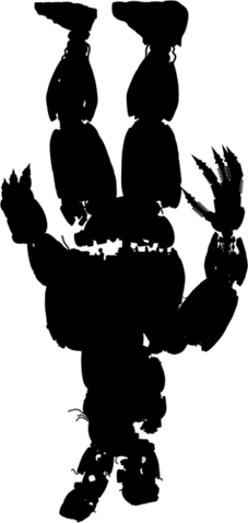 Файл:J.png