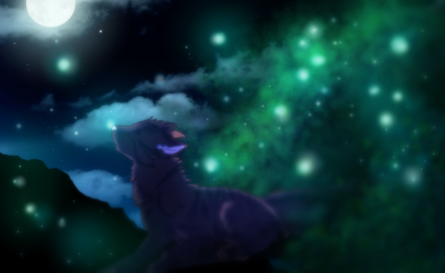 Файл:Moonlight Night.png