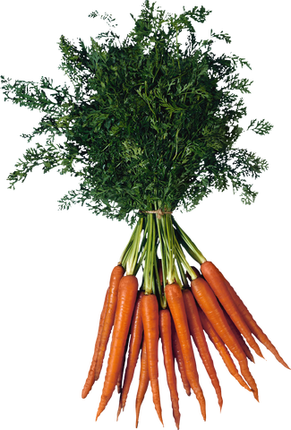 Файл:Carrot.png