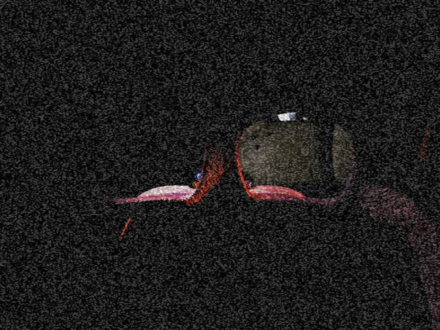 Файл:Розовый медведь.png