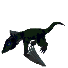 Insane baby dragon