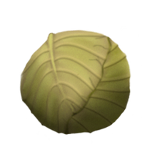 Huedcabbage