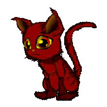 Wrathful baby kitten