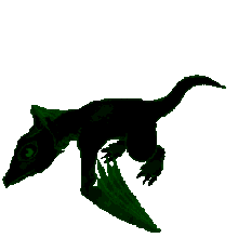 Baby dragon of items