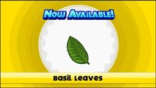 Basil