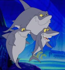 Sharks