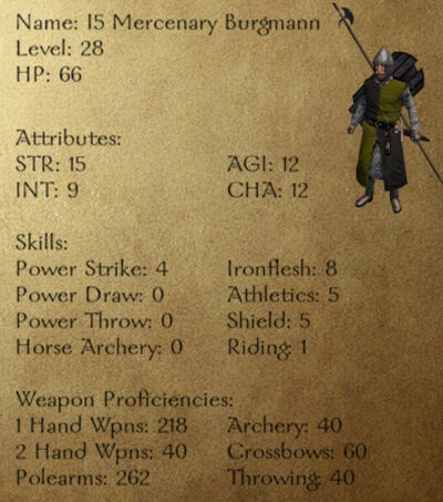 I5 Mercenary Burgmann