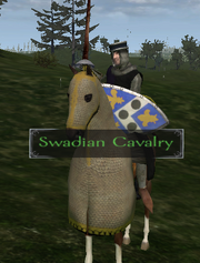 Swadian calvary