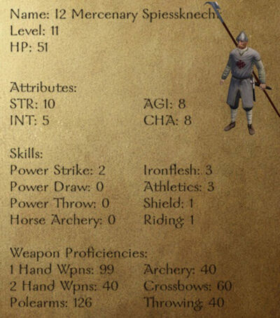 I2 Mercenary Spiessknecht