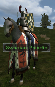 Swadian paladin