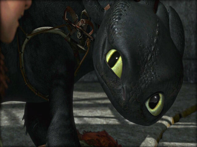 File:Toothless looking helpless.jpg