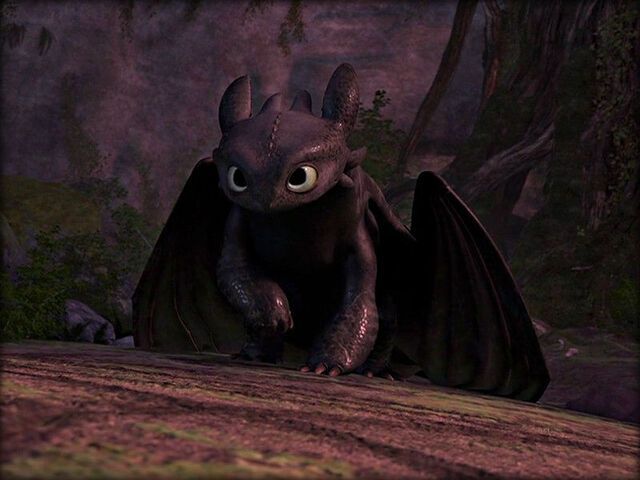 File:Toothless watching his drawing.jpg