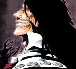 Bleach-3353495