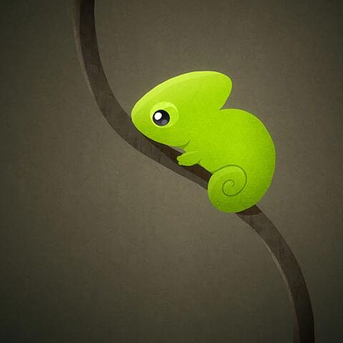 File:Chameleon by Kikariz.jpg
