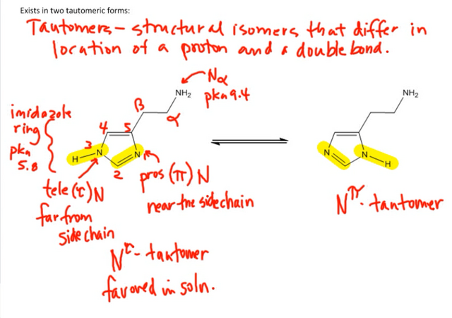 File:Histamine tautomers.png