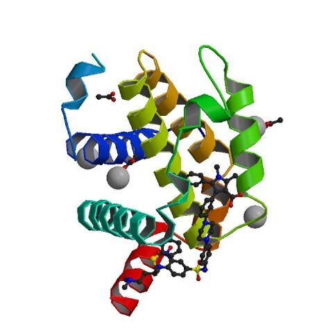 File:3SP7 bio r 500.jpg